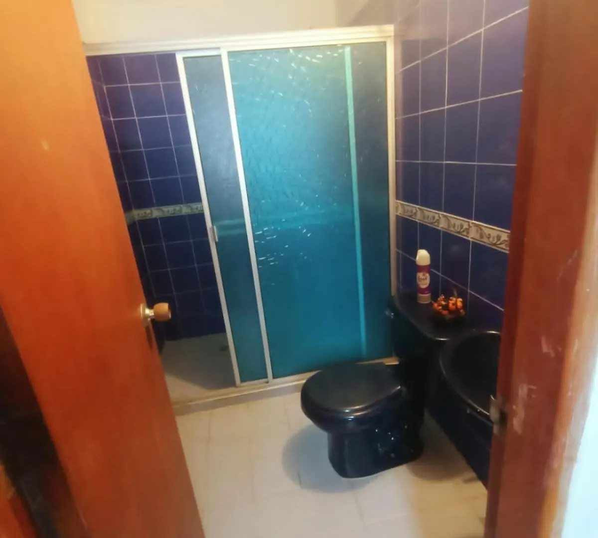 Guest house Hospedaje Dona Victoria Santa Marta